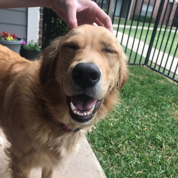 Meet your Posher, Christy ๐ - Picture 7 of 8